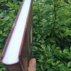 Trường ca Aleksandr Pushkin 1000698