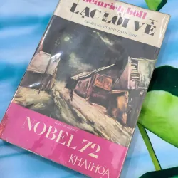 LẠC LỐI VỀ - HUỲNH PHAN ANH DỊCH THUẬT 1022763