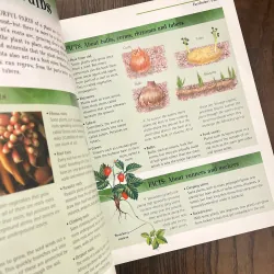 ✨𝑻𝒉𝒆 𝑩𝒊𝒈 𝑩𝒐𝒐𝒌 𝒐𝒇 𝑲𝒏𝒐𝒘𝒍𝒆𝒅𝒈𝒆✨ 697523