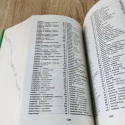 THUỐC BIỆT DƯỢC & CÁCH SỬ DỤNG 975803