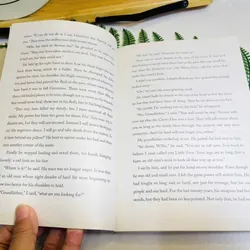 [Sách tiếng Anh 2hand] Like new 90% - 🪶 Geronimo – Joseph Bruchac 715186