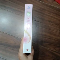 Ốc sên chạy 935294