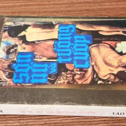 Tiểu thuyết SƠN NỮ & TƯỚNG CƯỚP 776169