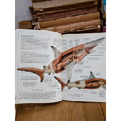 Tủ sách kiến thức thế hệ mới (2007) - Nhiều tác giả 782765