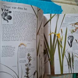 Động Thực Vật Ở Sông Hồ 993247