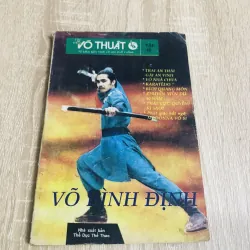TÌM HIỂU VÕ THUẬT VÕ BÌNH ĐỊNH