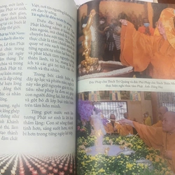 Cẩm Nang Đại Lễ Vesak LHQ 2025 444715