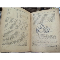 BÍ ẨN CỦA SỰ SỐNG - NGÔ TUẤN KỲ & HOÀNG CHƯƠNG 181427