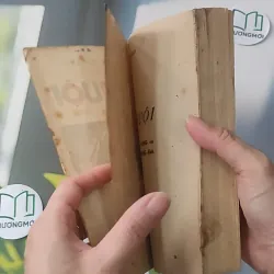 [XƯA] Mê Muội (1987) - Paven Nilin 997734