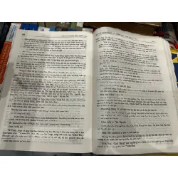 Việt Sử cương mục thiết yếu - Đặng Xuân Bảng 629008