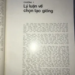 Cải tiến giống lúa  606080