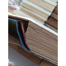 Từ điển Y học Anh-Việt - BS. Bùi Khánh Thuần 704192