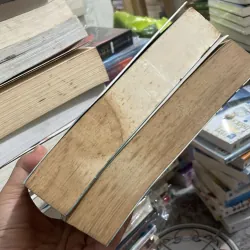 (ngôn tình) - Đế Hoàng Phi - Hoại Phi Vãn Vãn ( 2 tập ) 1004402