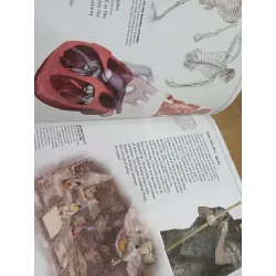 Children's human body encyclopedia 589515