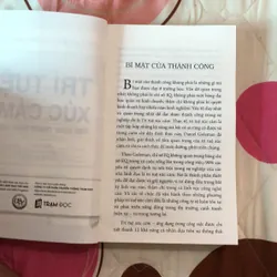 Trí tuệ xúc cảm 688998