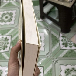 Nếu Gặp Người Ấy Cho Tôi Gửi Lời Chào - Ichikawa Takuji, mới 80% (KimT) 531990