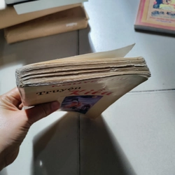 Nguyễn du truyện kiều 462926