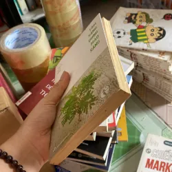 Tâm sáng dung mạo sáng  800926