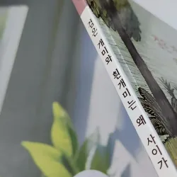 [Tặng nẹp góc] Truyện thiếu nhi Hàn Quốc: Moyamo Anu 59 -  모야모 아누와: 검은 개미와 흰개미는 왜 사이가 나쁠까 732066