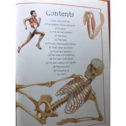 Human Body Over 100 questions and answers to things you want to know BÌA CỨNG mới 85% bẩn nhẹ Angela Royston HPB2707 NGOẠI VĂN 458527