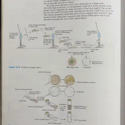Standard Grade Biology – Sách Sinh học chuẩn chương trình Anh 933903