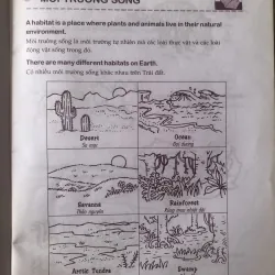 Cùng khám phá tiếng anh - Môi trường Sống - 3A 1004065