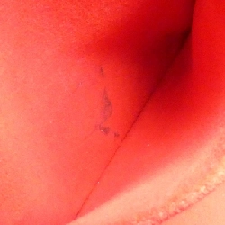 Túi Louis Vuitton Damier Hampstead PM N51205 - Hàng hiệu Chính hãng 766550