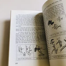 NGHỆ THUẬT CHẾ TÁC CHẬU CẢNH 698194