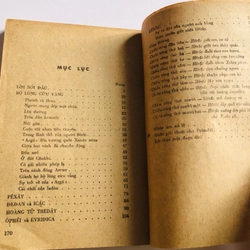 BỘ LÔNG CỪU VÀNG  529551