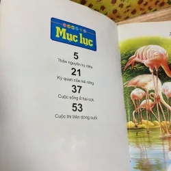 Thảo Nguyên Kỳ Diệu 928075