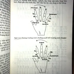 Dự đoán theo Tứ trụ 707684