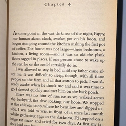 John Grisham - A PAINTED HOUSE (pocket size) 540123