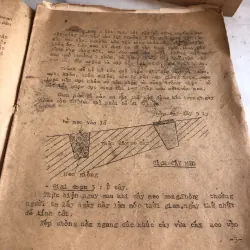 Phương pháp trồng nấm mèo  1004263