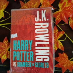 Harry Potter and the Chamber of Secrets paperback adult version  224167