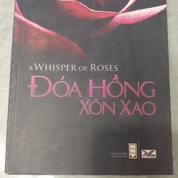 ĐOÁ HOA HỒNG XÔN XAO