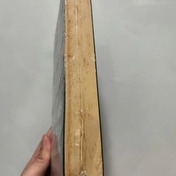 HAI KẺ GIẢ DANH TRÊN ĐIỆN THOẠI 447498