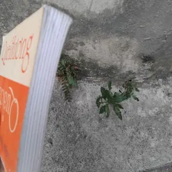 Quả đất quê hương của Edgar Morin và Anne Brigitte Kem  1026214