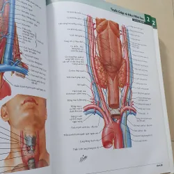 ATLAS 7 GIẢI PHẪU  1008119
