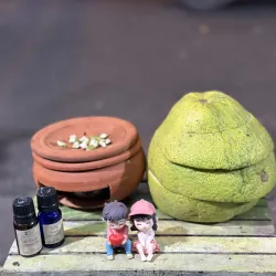 Lò xông  tinh dầu 757077