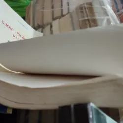 Lịch sử đông nam Á hiện đậi 926301