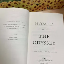 The Odyssey - Homer - Translated By Emily Wilson 974703