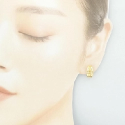 Bông tai/Khuyên tai Tiffany - Hàng hiệu Chính hãng 845224