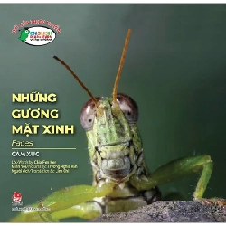 Gõ Cửa Thiên Nhiên - Những Gương Mặt Xinh - Cảm Xúc - Faces - Chia Fen Her, Trương Nghĩa Văn (Mới 100%) Kiến thức, kỹ năng sống cho trẻ, NXB Kim Đồng - SÁCH ĐẠI HỌC