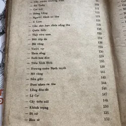 Cái cười của thánh nhân 993299