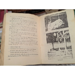 Nếp cũ tín ngưỡng Việt Nam - Toan Ánh 226262