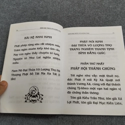 PHẬT THUYẾT ĐẠI THỪA VÔ LƯỢNG THỌ TRANG NGHIÊM THANH TỊNH BÌNH ĐẲNG GIÁC KINH 494697