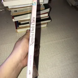 Nguyễn Đình Chiểu  958324