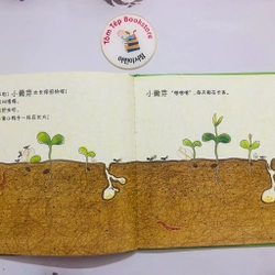 Picturebook bìa cứng tiếng Trung- chủ đề tự nhiên 466257