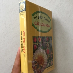 Từ Điển Tranh Về Các Loài Hoa - Lê Quang Long chủ biên 545524