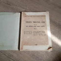 Thân Trung Âm hay là Sự sống sau khi chết  763458